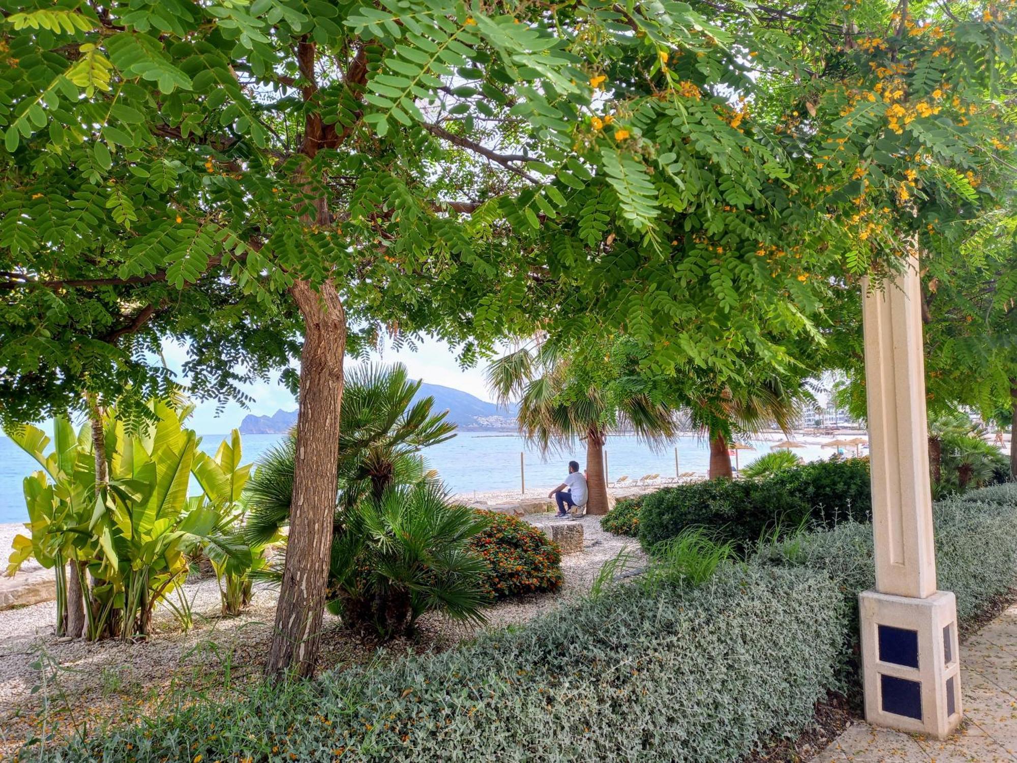 Townhouse Los Olivos M Altea Exterior foto